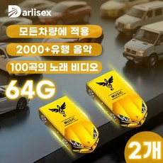 Darlisex 차량용 고음질 usb 2000곡/동영상 100개, 2개, 64GB
