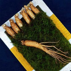 명품 수삼선물세트 1호 명절 설선물 국내산 선물세트, 1개