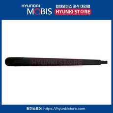 암 캡리어 와이퍼 (988113J000), 1개