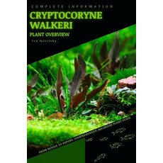 (영문도서) Cryptocoryne Walkeri: From Novice to Expert. Comprehensive Aquarium Plants Guide Paperback, Independently Published, English, 9798854641920