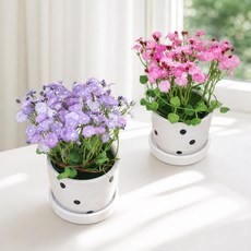 안개조화 미니화분 실내소품 러빙안개 도트 워터링포트 화분, 러빙안개 도트화분 핑크, 1개