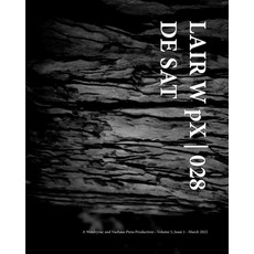(영문도서) LAIR W pX 028 De Sat Paperback, Blurb, English, 9798210125446
