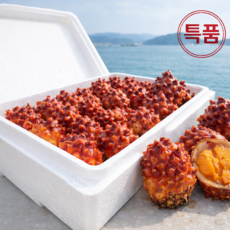 [특품만 취급]프리미엄 활멍게 특품 통영 멍게, 1박스, 2kg