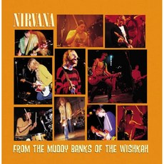 Nirvana 超脫樂團 - From the Muddy Banks of the Wishkah 黑膠唱片 2LP, 1個