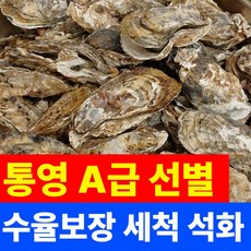 [통영 세척석화굴] 석화 각굴 통영 고성 고압세척 산지직송 A급선별 크기선별 생굴 횟감용 굴찜 굴구이 캠핑용 구이용 식당납품, 1박스, 3kg