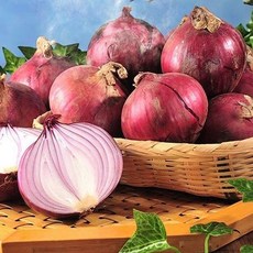 나애게 햇 무안 자색 양파 중대 3kg 5kg, 1개