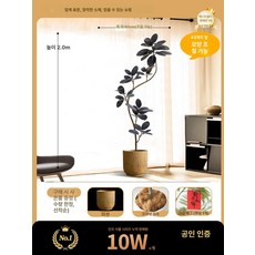 세련된 흑금강 바이오닉 대형 인테리어 고무나무 실내 식물, 2.0m 블랙킹+D