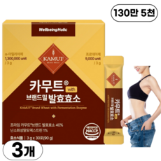 웰빙홀릭 카무트효소 분말 100% 식약청인증 130만 발효효소 골드 곡물 가루 HACCP, 3개, 90g
