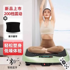 덜덜이 뱃살 운동 터치패널) 가정용 쉐이크보드 기본(0단, N. 플래그십 모델 벨트블루투스 스피커00단 속도 조절