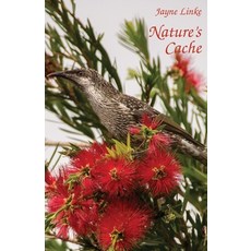 (영문도서) Nature's Cache Paperback, Debbie Lee, English, 9781760418779