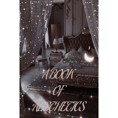 (영문도서) A Book of Aesthetics: Room for Aesthetic Pictures Paperback, Independently Published, English, 9798341437760