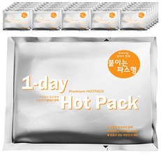 [1일1핫팩] 원데이 프리미엄 핫팩 파스형 (붙이는용) 50g, 30개