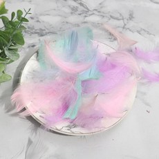 微景小舖 馬卡龍彩色鵝毛羽毛 捕夢網手工材料 禮品盒裝飾填充, 1個, 馬卡龍彩色,一包約90~100支左右, 馬卡龍彩色