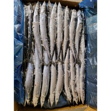 업소용 냉동 꽁치65~90미 1번사이즈, 1박스, 9.3kg