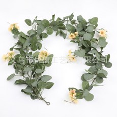 居家裝飾壁掛仿真藤曼 仿真藤條 背景墻裝飾 綠色植物 桉樹葉 仿真尤加利藤條, 彩蝶菊（香檳）, 1個