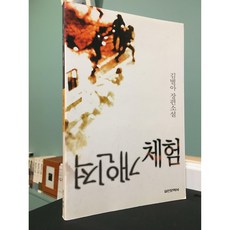 개인적 체험 / 김별아 / 실천문학사 / 상
