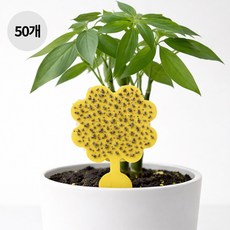 ROYAI ONE 벼룩파리 초파리트랩 테이프 끈끈이 제거 나방파리퇴치, 50개, 4g