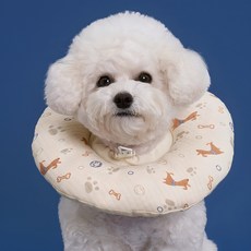 DOG-i 寵物棉花軟墊頸圈, 幼犬款