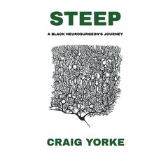 (영문도서)Steep: A Black Neurosurgeon's Journey Paperback, Flint Hills Publishing, English, 9781953583987