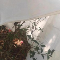 화분방한커버 식물보호 겨울보온 동절기원예 부직포덮개, 1개