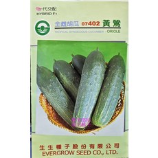 黃鶯 全雌小黃瓜種子 雌性佳結果率佳 收成早, 1包