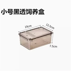 파충류 사육 상자 탈출 방지 이중문 수생용 소형 중형 대형 거미 및 애호가용 할로윈 선물, 04 S