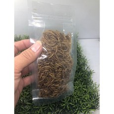 F邦邦水族 買十送一麵包蟲乾 食用零食, 1個, 300ml(約50克)1包 10送1, 300ml(約50克)1包