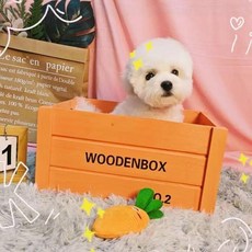 레트로 나무상자 소품박스 직사각형 인테리어 목재색, 소형 25 15x14cm 비펀칭 디테일 외부, 1개, 오렌지 로고 있음