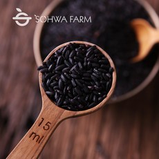 볶은 국산 흑미차 500g 볶은 찰흑미, 1개