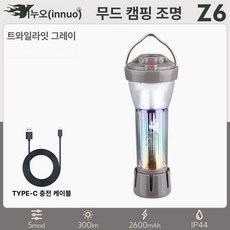 에디슨 전구 창조적 인 LED 충전식 다채로운 재미 장식 분위기 DIY, Z6 그레이