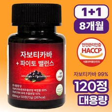 그린바이브 자보티카바 파이토밸런스 브라질100% 퓨레식약청인증 정품 jaboticaba정, 2개, 120정