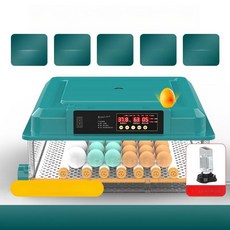 NOVA 병아리부하기 병아리부화기 메추리 달걀 가정용, 1개, 48알 이중 1단계 온도 습도 알람 5모드