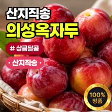 프리미엄 의성 옥자두 왕자두 도담, 1박스, 1kg