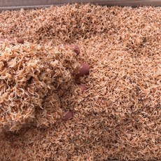 신건호멸치 볶음용 햇 밥새우(상급), 500g, 1개