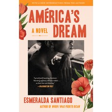 America's Dream Paperback, Harper Perennial