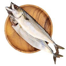 남도며느리 신선함이 살아있는 국내산 손질 자반 고등어 대용량, 1개, 3.5kg (10미)
