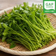 [우수품질관리인증] 국산 청도미나리 특품, 1세트, 200g