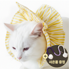 [speedmong] 목편한 초경량 시야 확보 반려동물 편안한 넥카라 고양이 강아지 깔대기 중성화, 파스텔옐로우, 1세트