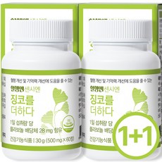 혈행엔 센시엔 징코를더하다, 60정, 2박스