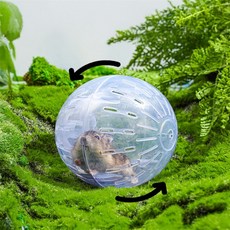 투명 햄스터 운동 쳇바퀴 햄스터운동기구