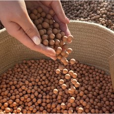 아트라이브 황토볼 10mm 1kg, 1개