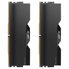 글로웨이 DDR5 데스크탑 히트싱크 램 스태리 블랙 C38 16GB GW6400N16G-BMG 2개입, 1개 1개
