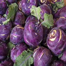 타임세일 일등농수산 제주산 정품 콜라비 로얄과, 1박스, 5kg