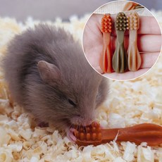 윔지스 햄스터 이갈이 간식 덴탈츄 XXS, 3개