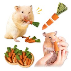 햄찌무드 햄스터 이갈이 간식 동결건조 과일 당근 15P, 1세트