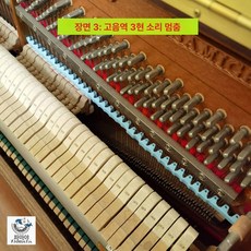 피아노 익스프레스 실리콘 재사용 가이드 탈부착 탈착식, 1개, 피아노 소프라노, 기본 모델명/품번