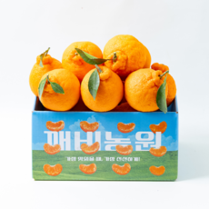 깨비농원 한라봉, 1박스, 한라봉 2.5kg 중과