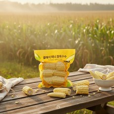 국내산 첨가물없는 미니 찰옥수수 캠핑간식, 1개, 미니찰옥수수 300g