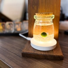 반려식물 우정 커플 책상 화분 예쁜 유리병 마리모 반려식물키우기, 별 유리병