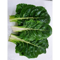 근대 200g / 500g 중량별, 1개